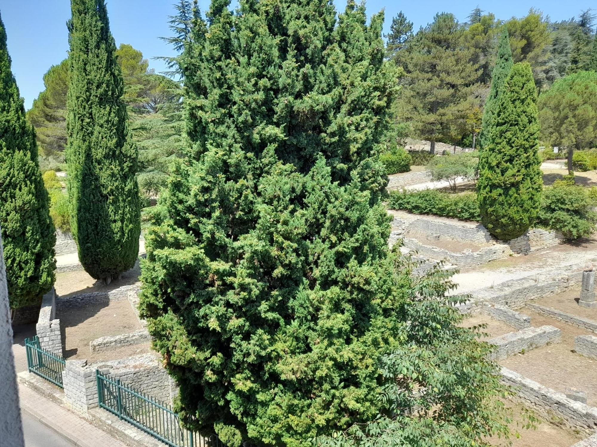 Grande Terrasse Et Vue Sur Le Site Antique Apartamento